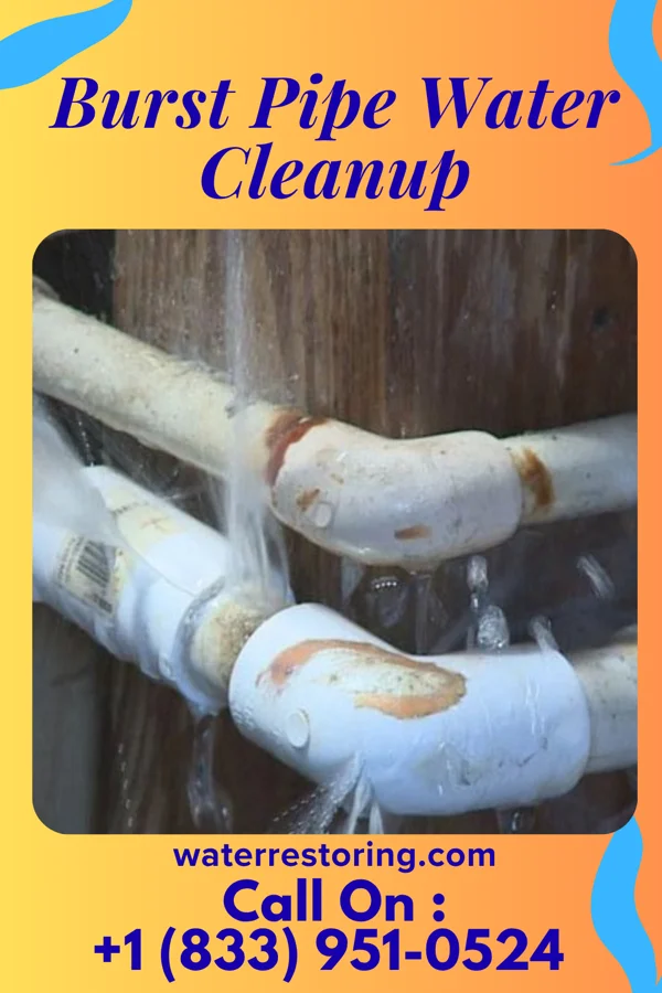 Burst Pipe Water Cleanup in Mount Clare, IL