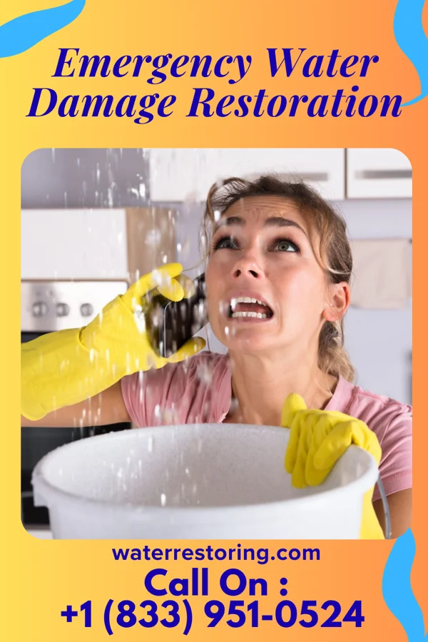 Emergency Water Damage Restoration in Mount Clare, IL