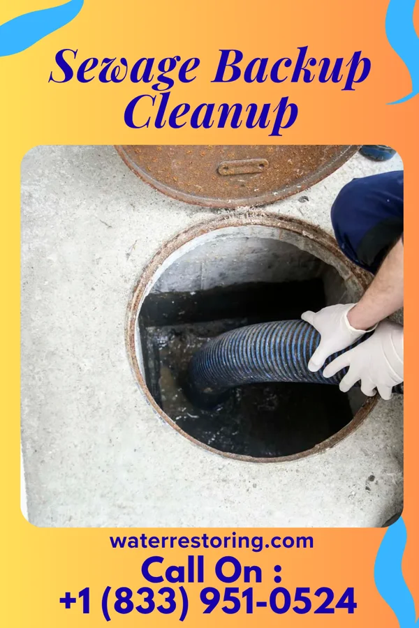 Sewage Backup Cleanup in Mount Clare, IL